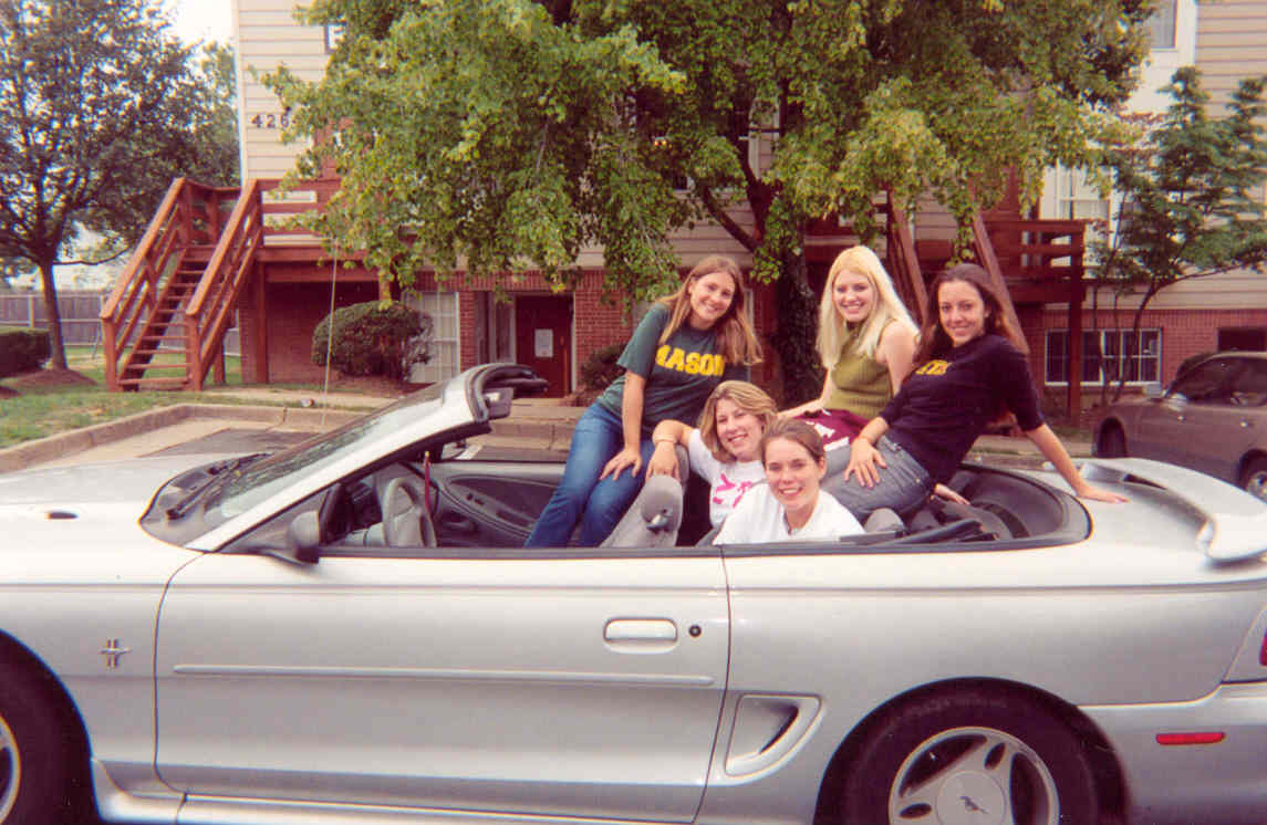 mustangpic.jpg