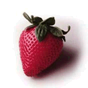 strawberry1.gif